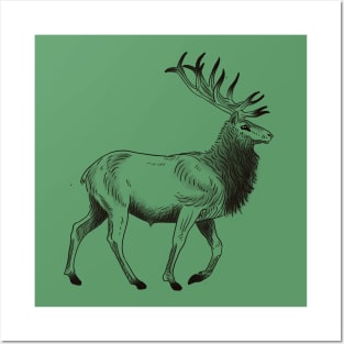 Stag Posters and Art